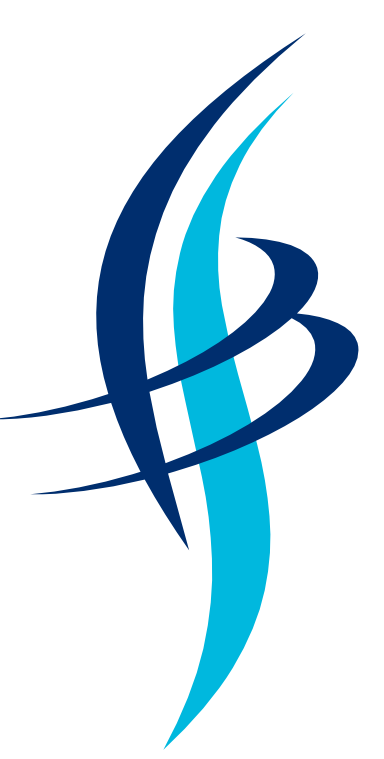 S W Businhess Solutions Logo